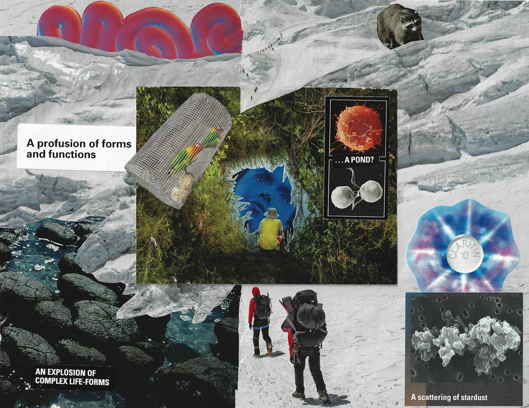 a collage